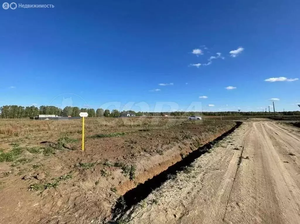 Участок в Тюменский муниципальный округ, деревня Малиновка (11 м) - Фото 2