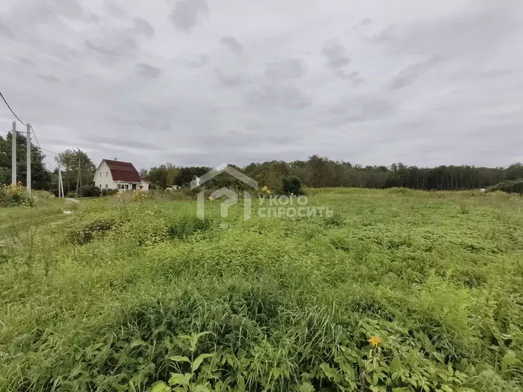 Участок в Ленинградская область, Ломоносовский район, Оржицкое с/пос, ... - Фото 1