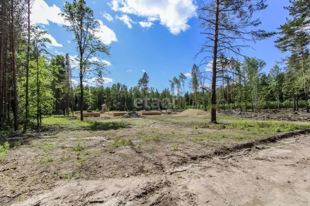 Участок в Тюменская область, Нижнетавдинский район, с. Тюнево ул. ... - Фото 0