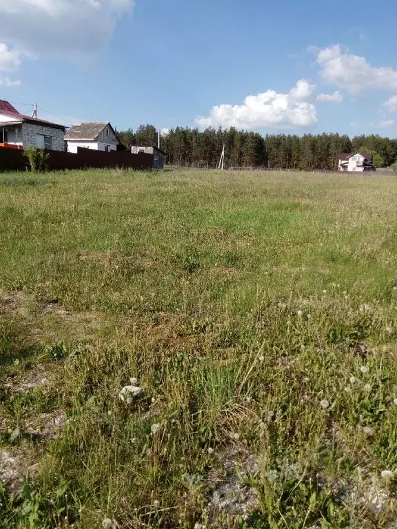 Участок в Брянская область, Брянский район, с. Дарковичи Молодежная ... - Фото 1