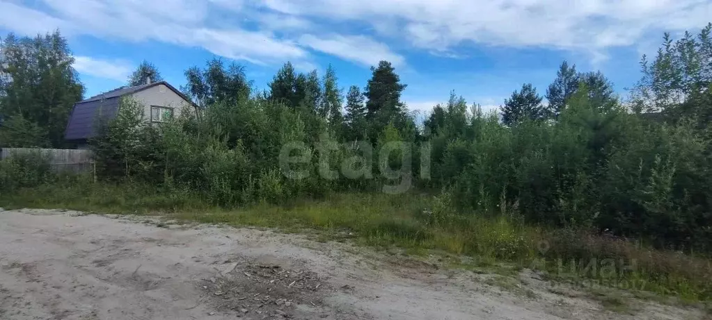 Участок в Ханты-Мансийский АО, Сургут Ручеек садовое товарищество, ул. ... - Фото 0