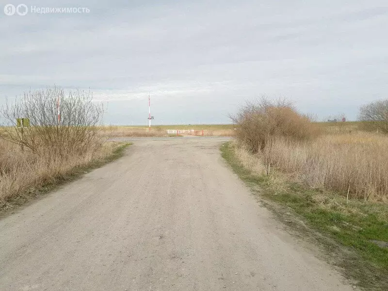 Участок в Калининградская область, Гурьевский муниципальный округ, ... - Фото 0