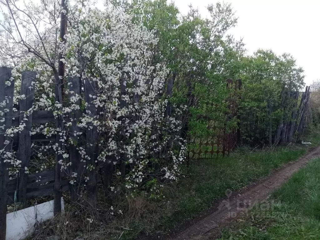 Участок в Оренбургская область, Оренбургский район, Благословенский ... - Фото 1