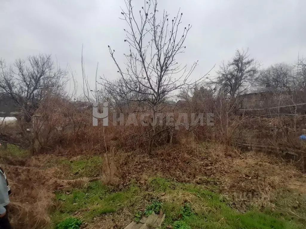 Участок в Ростовская область, Каменск-Шахтинский ул. Горького, 160 ... - Фото 1
