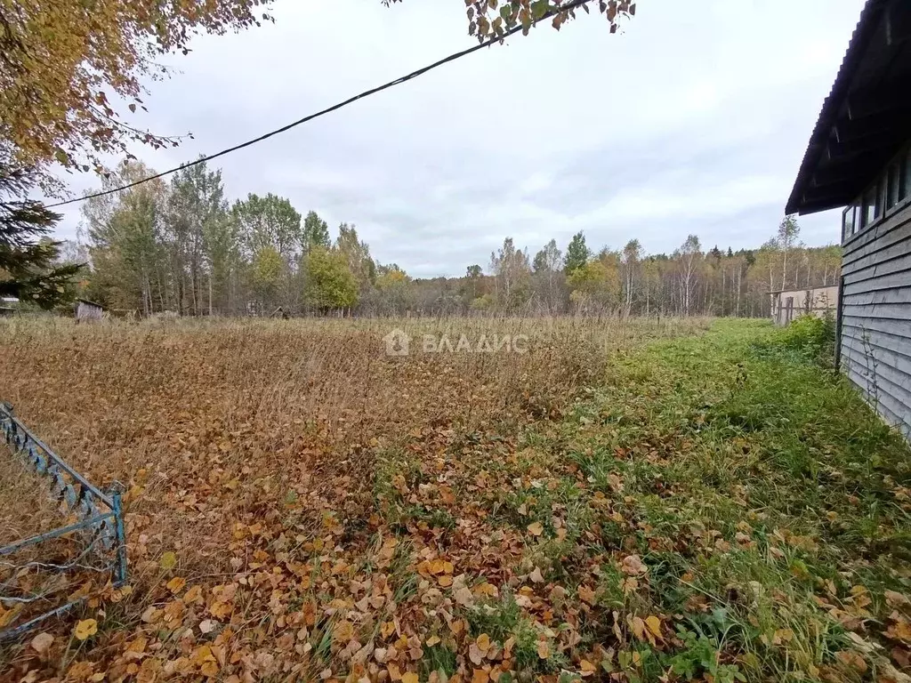 Участок в Ивановская область, Лежневский район, Шилыковское с/пос, с. ... - Фото 2