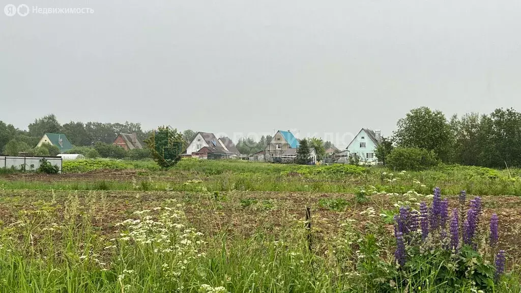 Участок в Московская область, муниципальный округ Шаховская, деревня ... - Фото 1