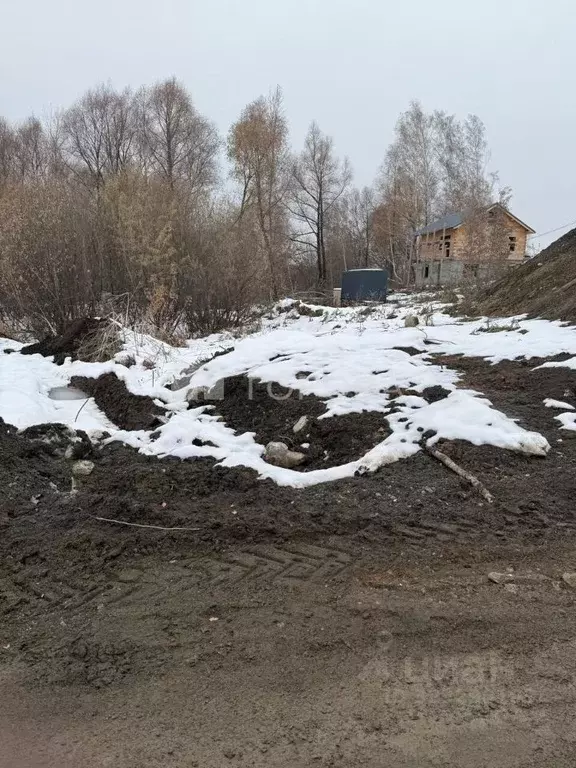 Участок в Новосибирская область, Новосибирский район, Каменский ... - Фото 1