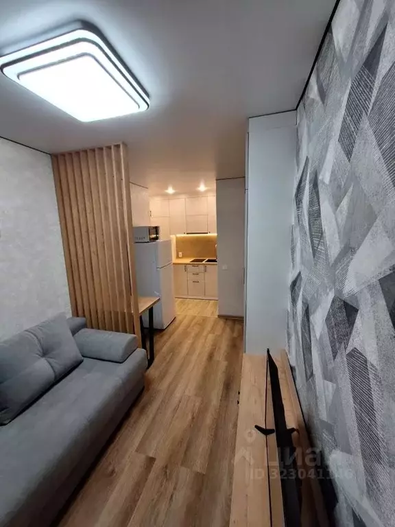 Студия Алтайский край, Барнаул Докучаево мкр, ул. Шукшина, 11 (17.0 м) - Фото 2