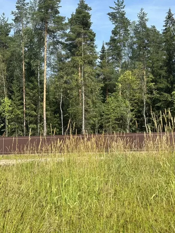 Участок в Ленинградская область, Всеволожский район, Колтушское ... - Фото 1