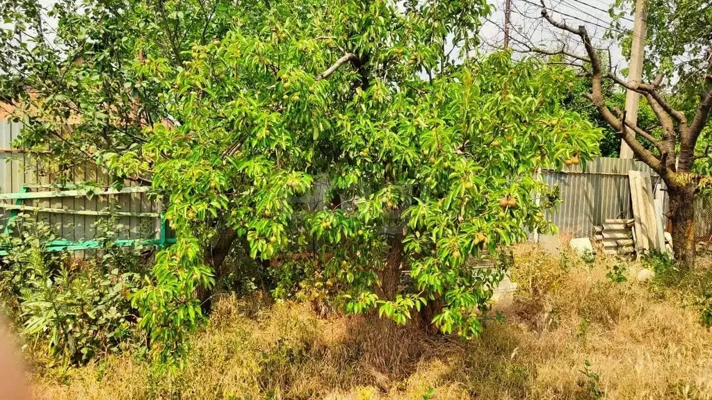 Участок в Ростовская область, Таганрог  (6.51 сот.) - Фото 2