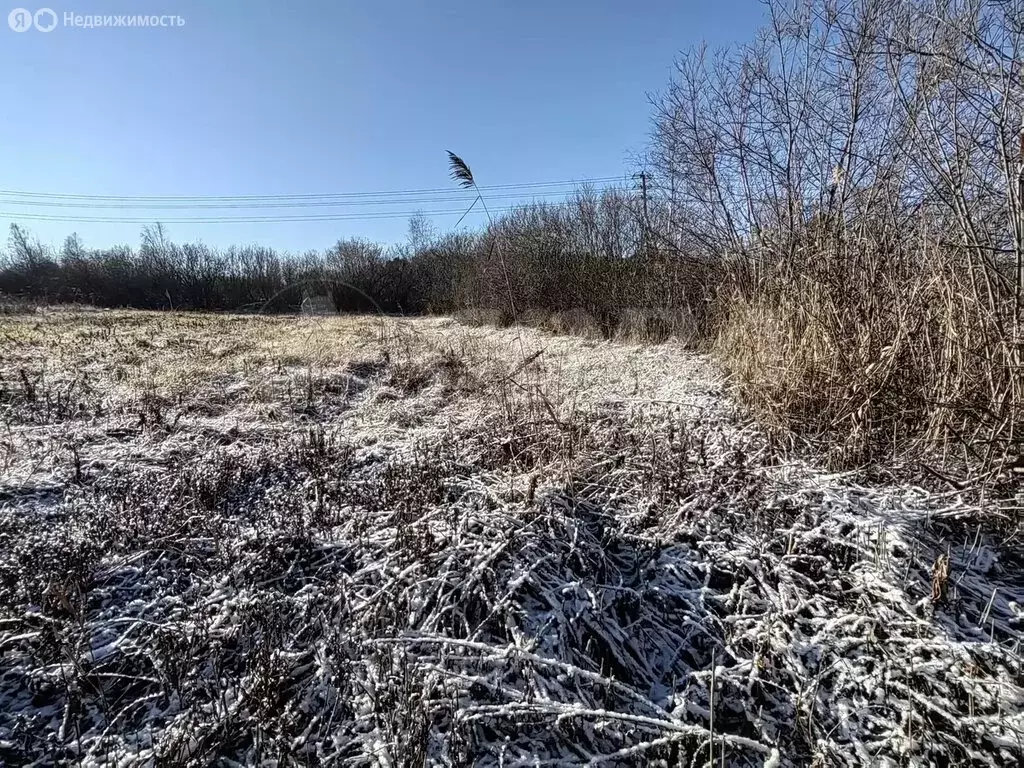 Участок в Тюменский муниципальный округ, посёлок Новотарманский (3 м) - Фото 2