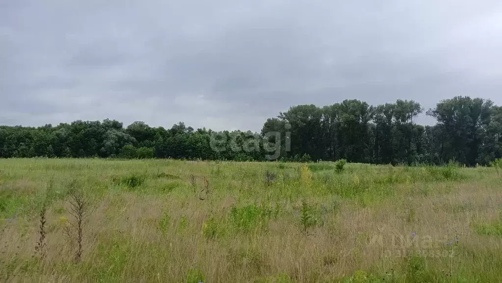 Участок в Башкортостан, Уфимский район, Булгаковский сельсовет, д. ... - Фото 0