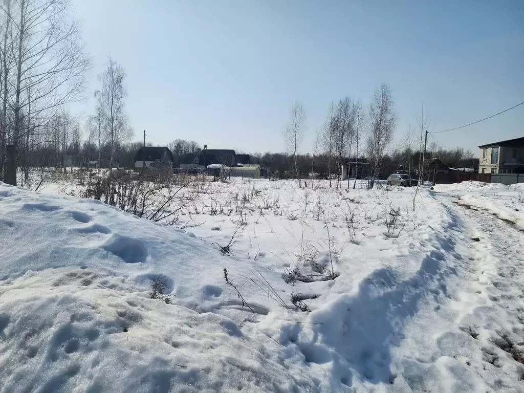 Участок в Брянская область, Брянский район, Нетьинское с/пос, Светлое ... - Фото 2