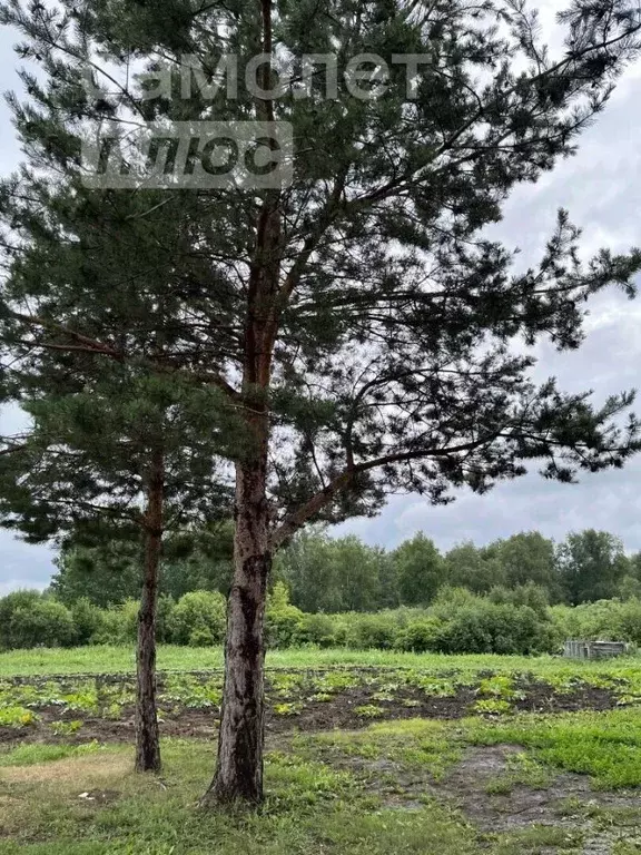 Дом в Томская область, Томский район, с. Вершинино, Поле 21 Га мкр 16 ... - Фото 1