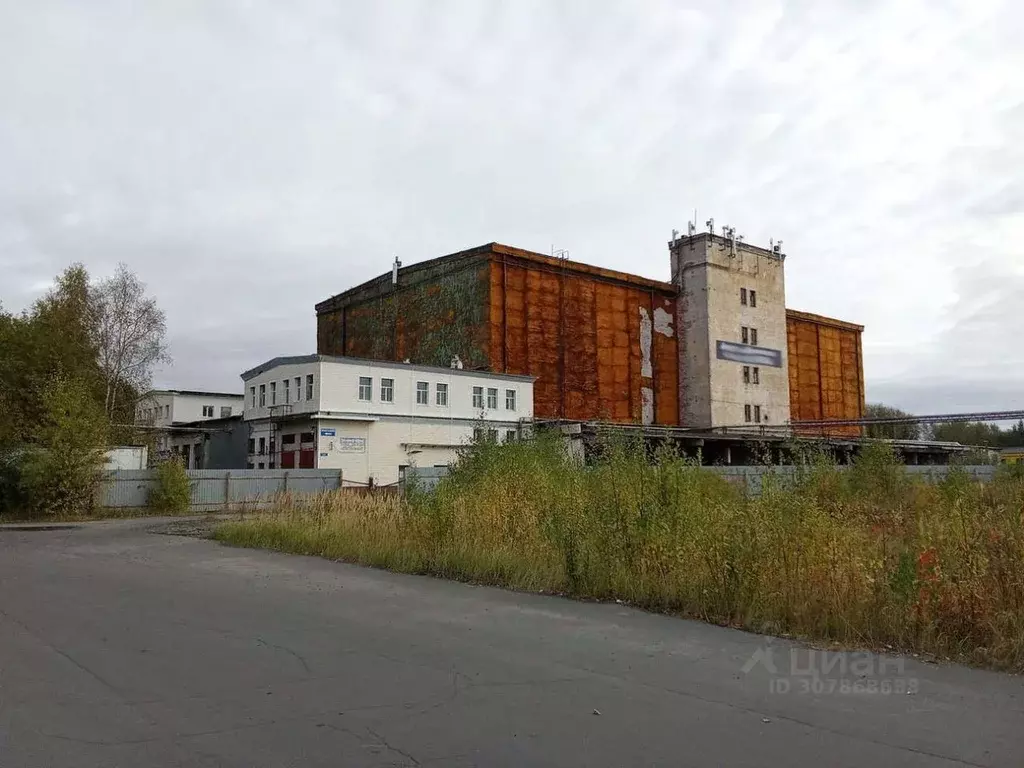 Офис в Архангельская область, Северодвинск Железнодорожная ул., 39с11 ... - Фото 1