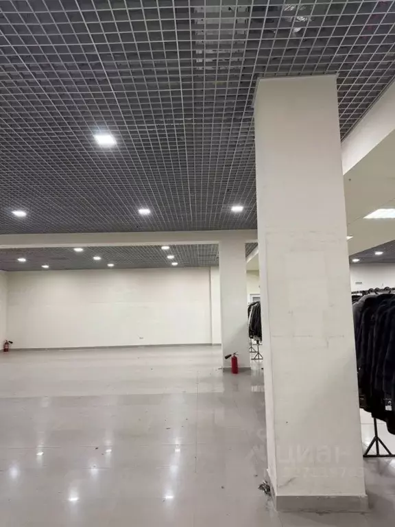 Торговая площадь в Севастополь просп. Генерала Острякова, 64 (282 м) - Фото 1