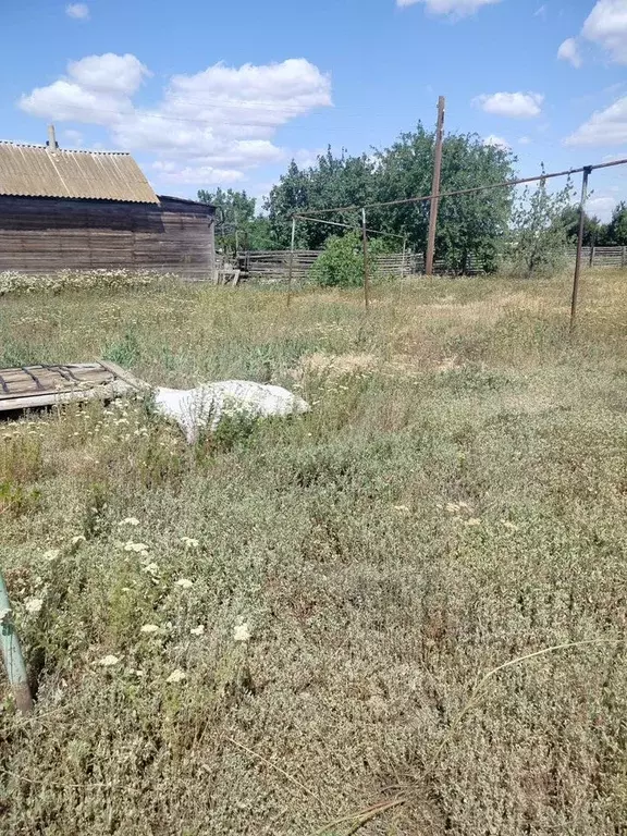 Дом 49,3 м на участке 14,8 сот. - Фото 1