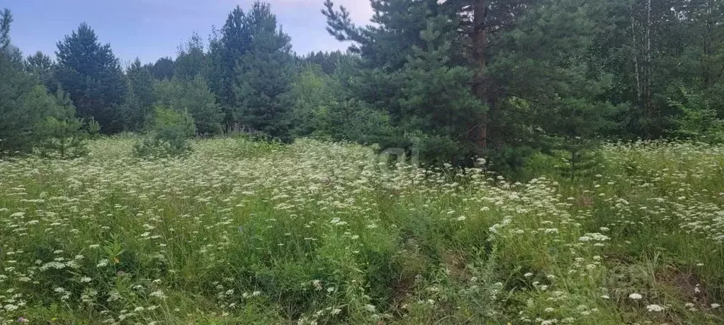 Участок в Свердловская область, Нижний Тагил ул. Родная (6.0 сот.) - Фото 1