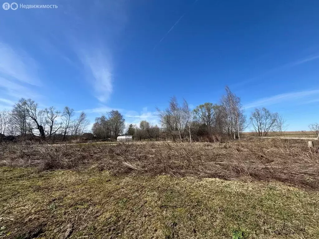 Участок в Ярославский муниципальный округ, деревня Василёво ... - Фото 2