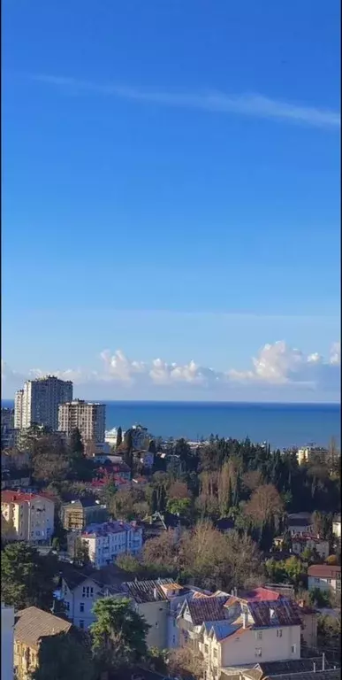 2-к кв. Краснодарский край, Сочи Альпийская ул., 27А (44.0 м) - Фото 2