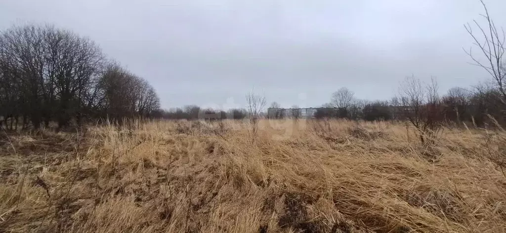 Участок в Вологодская область, Шекснинский район, д. Нифантово  (12.22 ... - Фото 1