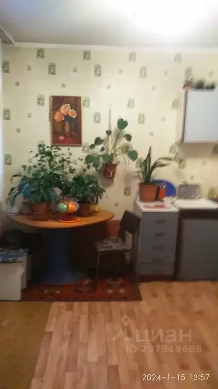 Комната Санкт-Петербург ул. Маршала Новикова, 17 - Фото 1