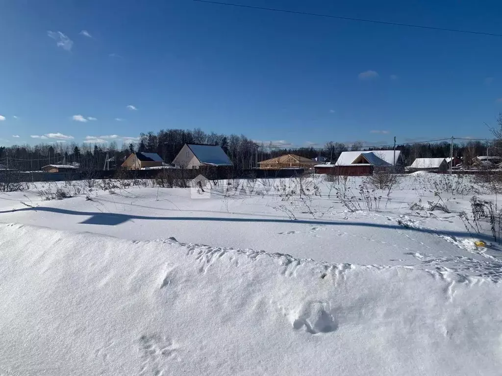 Участок в Московская область, Чехов городской округ, д. Скурыгино ... - Фото 0