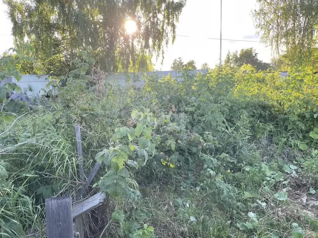 Участок в Архангельская область, Котлас ул. 7-го Съезда Советов, 48 ... - Фото 1