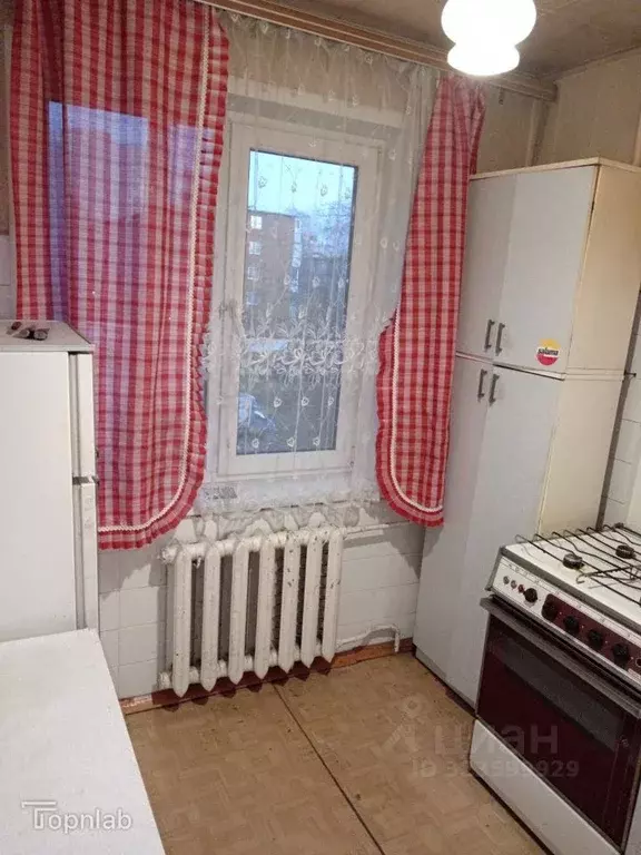 1-к кв. Владимирская область, Владимир ул. Лакина, 147а (30.5 м) - Фото 1