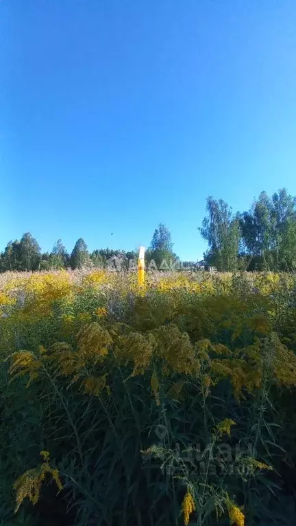 Участок в Владимирская область, Владимир ул. Большая Лукинская, 16 ... - Фото 0
