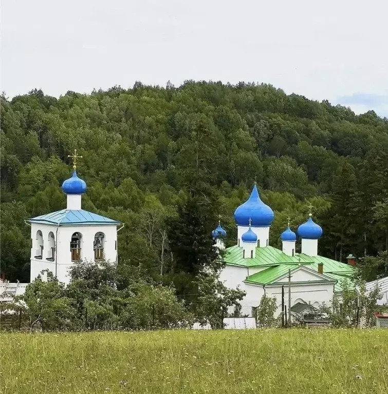 Участок в Псковская область, Печорский муниципальный округ, д. Малы ... - Фото 1