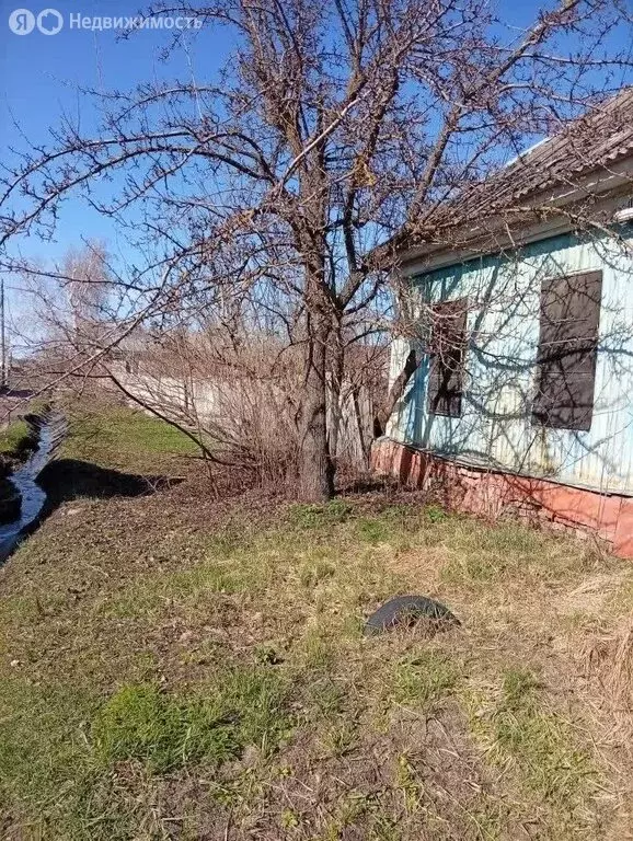 Дом в Балашов, улица 9 Января (35.2 м) - Фото 2