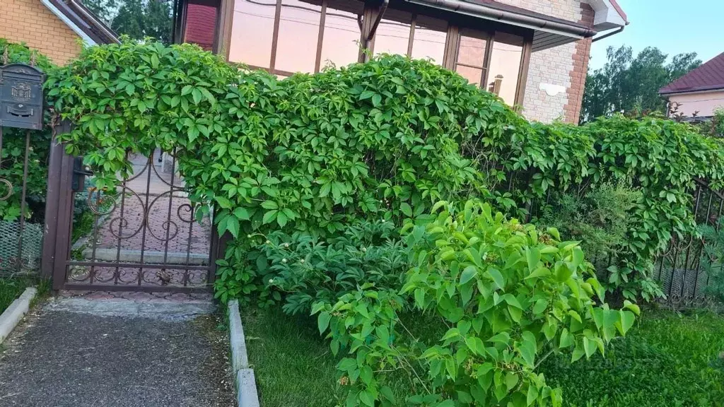 Коттедж в Красноярский край, Емельяновский район, пос. Элита, Видный ... - Фото 2