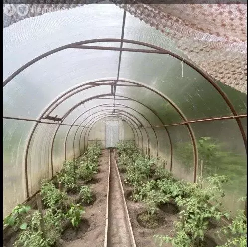 Дом в Челябинск, улица Сосновая Роща, 41 (70 м) - Фото 1