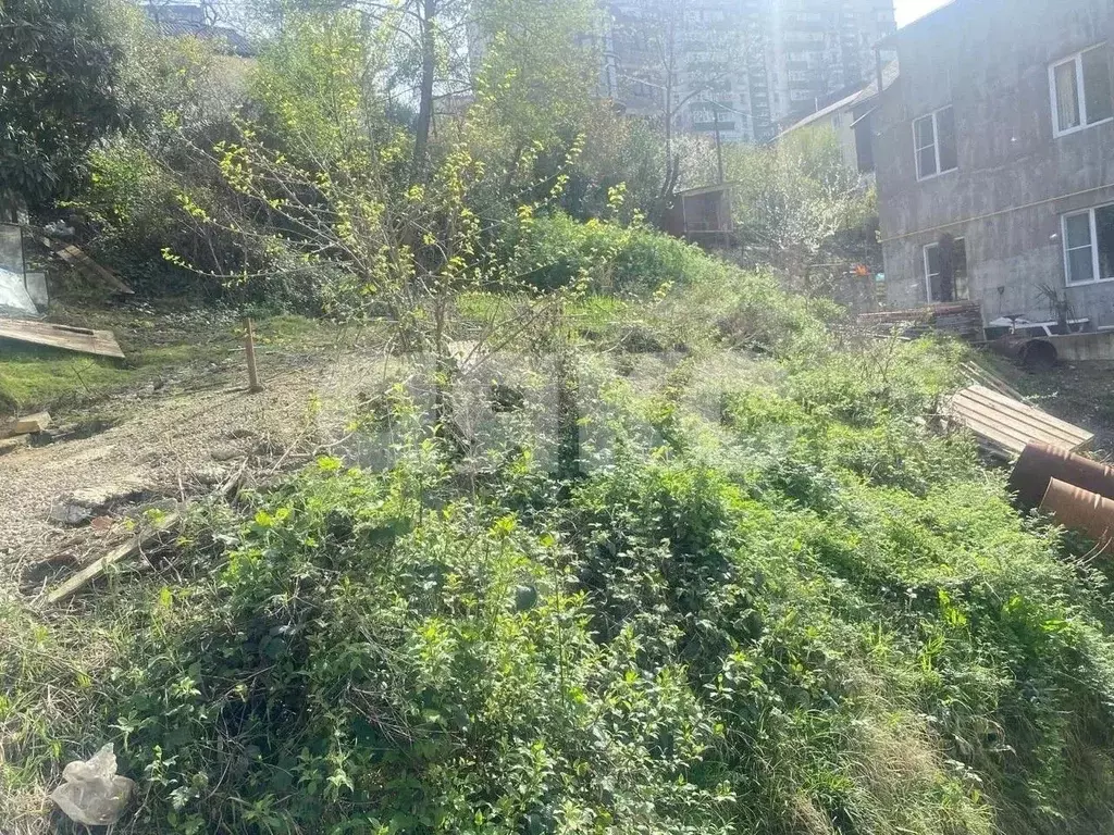 Участок в Краснодарский край, Сочи Амбулаторный пер., 38 (4.9 сот.) - Фото 2