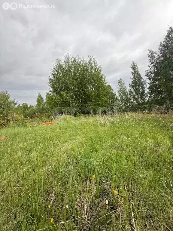 Участок в село Калмаш, Новая улица (21.72 м) - Фото 1