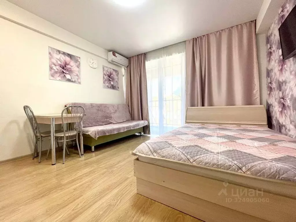 Студия Краснодарский край, Сочи городской округ, Дагомыс пгт ул. ... - Фото 1