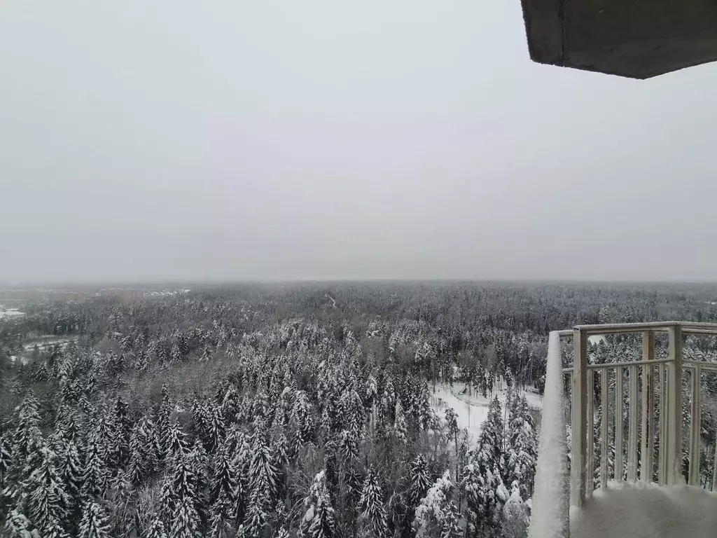 1-к кв. Московская область, Красногорск Изумрудные Холмы мкр,  (35.0 ... - Фото 2