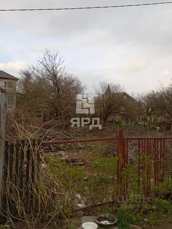 Участок в Ростовская область, Азовский район, Новоалександровское ... - Фото 2