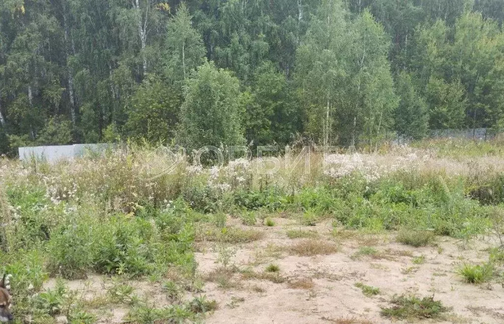 Участок в Тюменская область, Тюменский район, с. Кулига  (14.35 сот.) - Фото 1