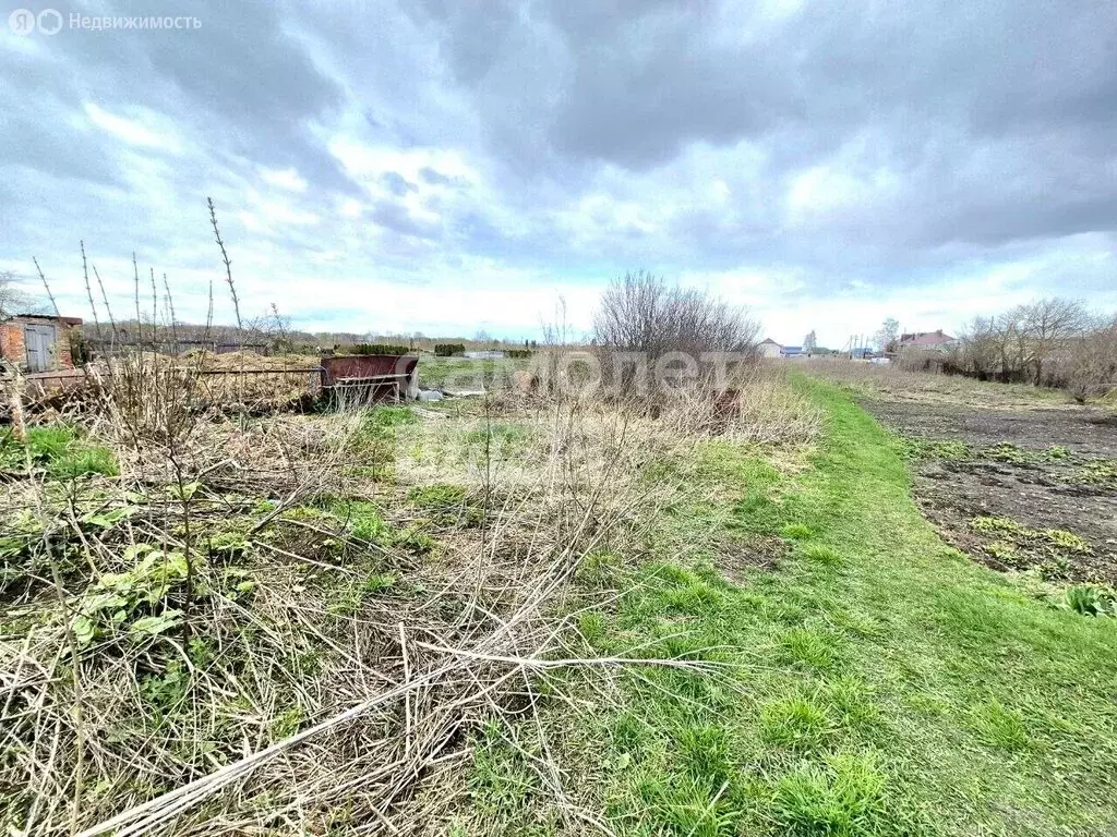 Участок в село Доброе, улица Ленина, 71 (15 м) - Фото 1