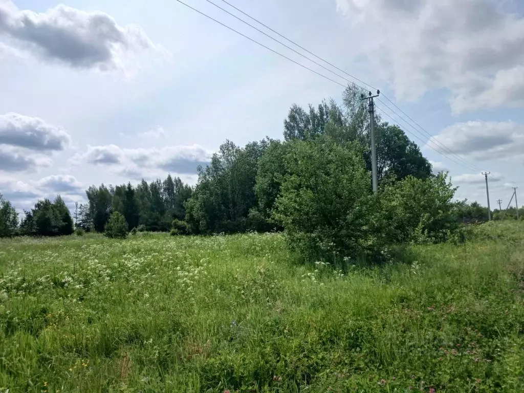 Участок в Московская область, Сергиево-Посадский городской округ, д. ... - Фото 0