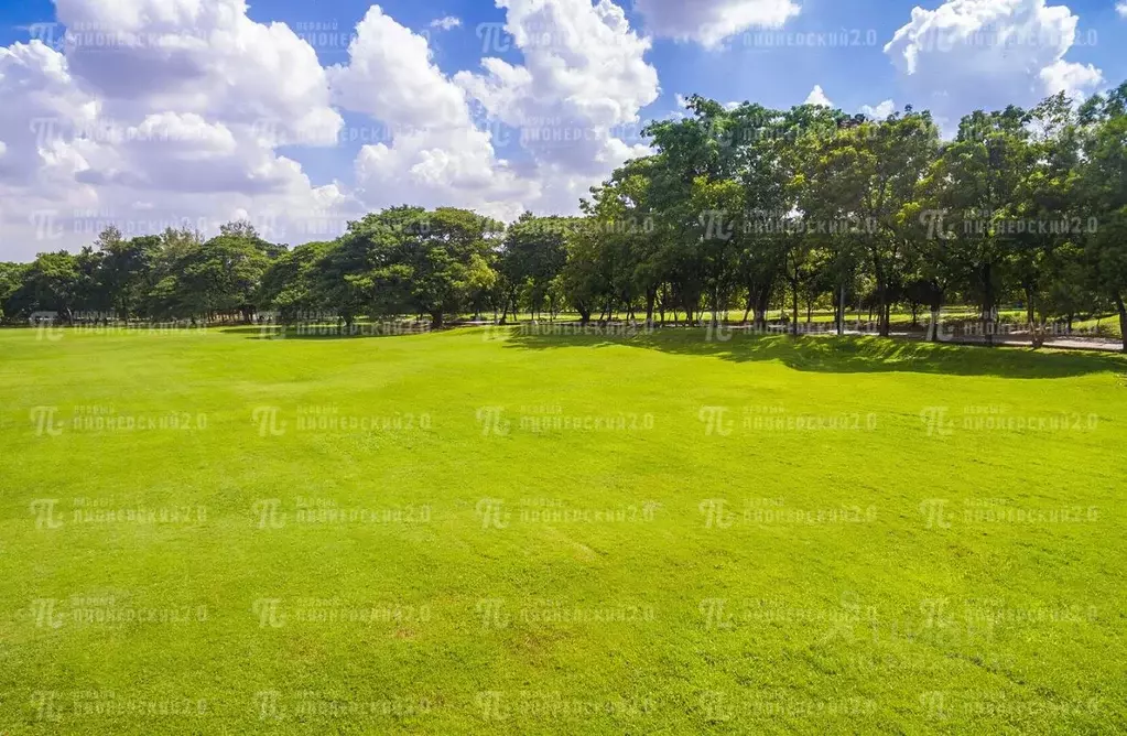 Участок в Московская область, Истра муниципальный округ, д. ... - Фото 1