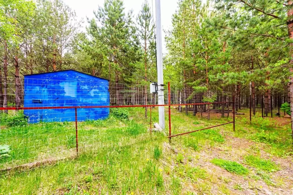 Участок в Тюменская область, Тюменский муниципальный округ, с. Успенка ... - Фото 1