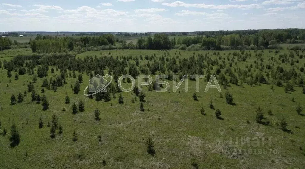 Участок в Тюменская область, Тюменский район, д. Елань 14 (7.17 сот.) - Фото 1