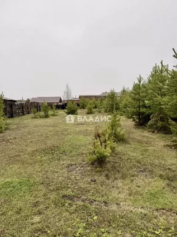 Участок в Бурятия, Прибайкальский район, с. Горячинск ул. Некрасова, 2 ... - Фото 2