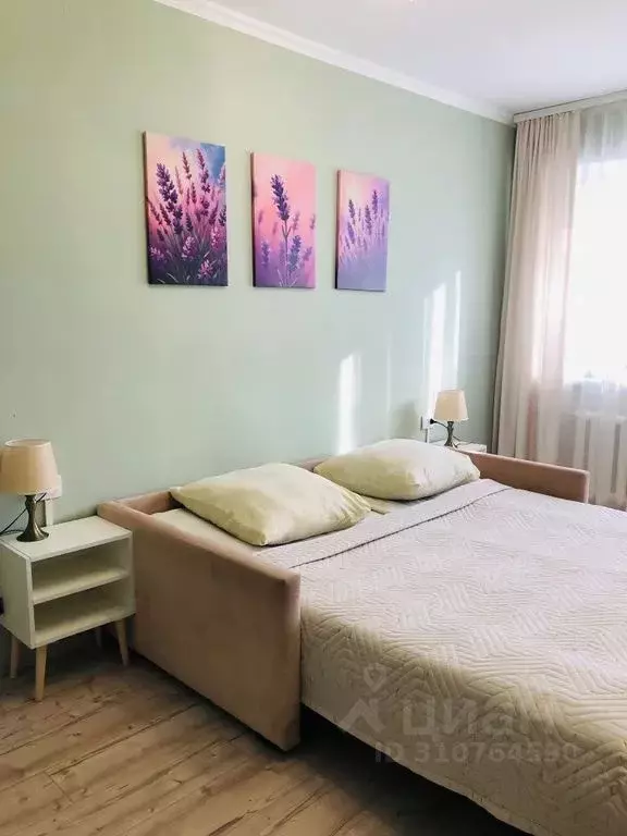 1-к кв. Псковская область, Псков Советская ул., 77А (30.0 м) - Фото 1