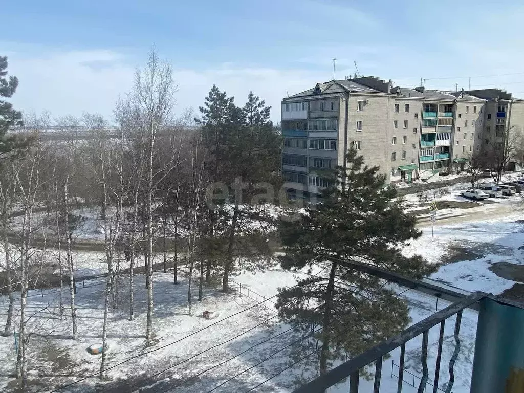 2-к кв. Амурская область, Благовещенск городской округ, с. Белогорье ... - Фото 1