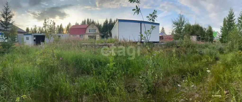 Участок в Ямало-Ненецкий АО, Новый Уренгой Дружба ТСН, проезд 2-й ... - Фото 0