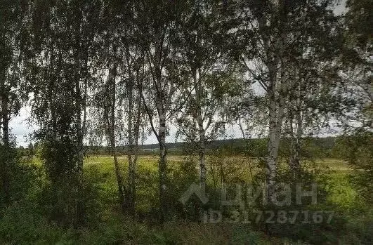 Участок в Свердловская область, Екатеринбург Малый Исток кп,  (14.4 ... - Фото 1